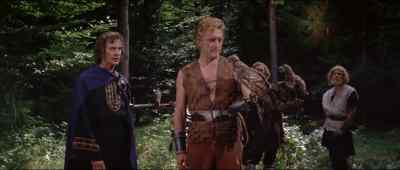 I think we have hawks to equal that one. - The Vikings