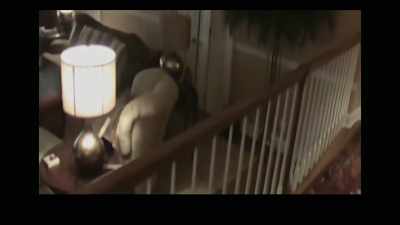 I think he was scared when we showed up, - Victim/Suspect