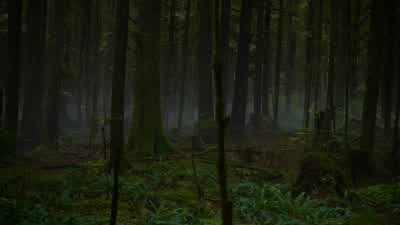 I think he's alone. - The 100