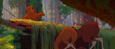 I think he's seen us Now what - Brother Bear