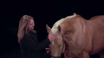 I think horses are amazing. - Colorado Christmas