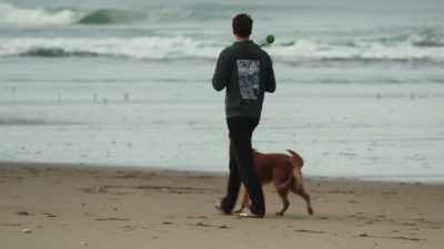 I think humans love animals - iHuman