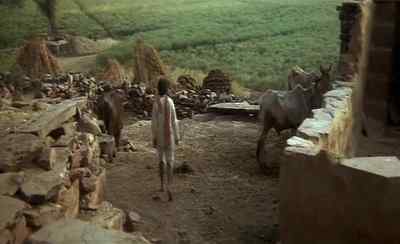 I think I can get you out. - Siddhartha