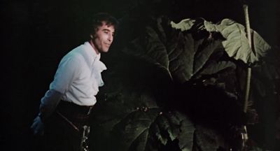 I think I could turn and live with animals - The Wicker Man
