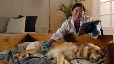 I think I figured out - Everything Puppies