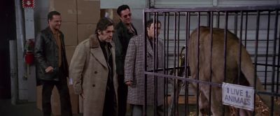 I think I just shit my pants - Donnie Brasco