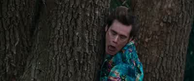 I think I lost them! - Ace Ventura: When Nature Calls