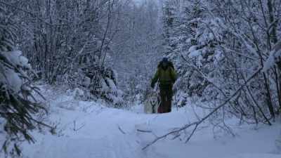 I think I might be pretty
close to the river here. - Life Below Zero: Next Generation