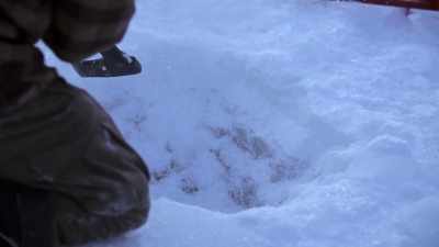 I think I might have
actually hit the bottom here. - Life Below Zero: Next Generation