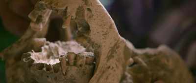 I think I removed most of the mud. - Secrets of the Saqqara Tomb