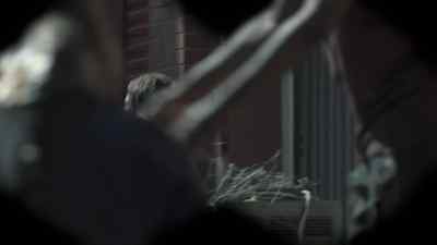I think I see him. - Falling Skies