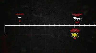 I think I'd still rather get
stung by that - Kings of Pain