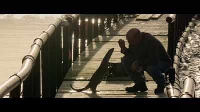 I think if I'm
honest in myself, I don't really - Billy & Molly: An Otter Love Story