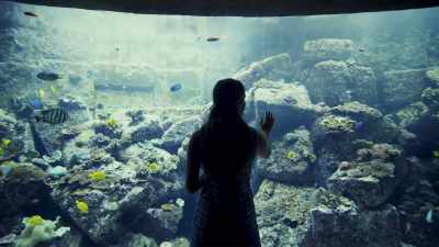  I think in many ways, - The Interdimensional Connection