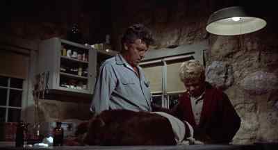 I think it is better
if you go to the kitchen? - Big Red
