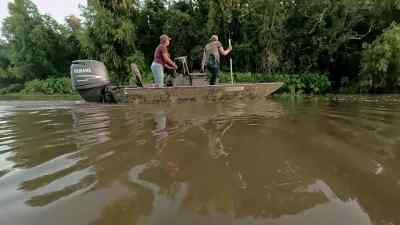 I think it's down. - Swamp People