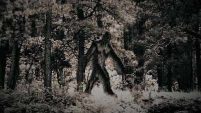 I think it's fair to
say that these stories - Sasquatch