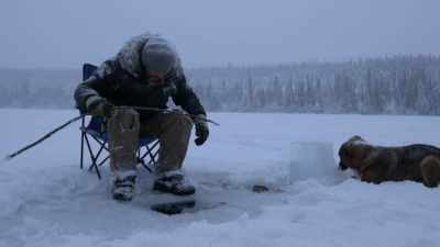 I think it's
feeding time for them, - Life Below Zero: Next Generation