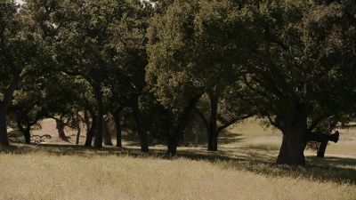 I think it's Grandpa! - 9-1-1: Lone Star
