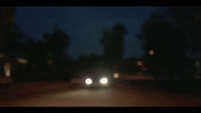 "I think it's just the cats." - I'll Be Gone in the Dark