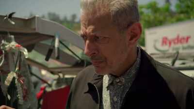 I think it's like a... Kind of an armor - The World According to Jeff Goldblum