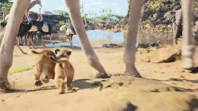 ♪ I think it's time that you and I ♪ Arranged a heart-to-heart ♪ Kings don't need advice ♪ From little hornbills for a start ♪ If this is where the monarchy is headed, count me out ♪ Out of service Out of Africa ♪ I wouldn't hang about ♪ This child is get - The Lion King