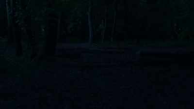 I think it's trying to find a home
in my personal areas. - Blood Actually: A Murder, They Hope Mystery