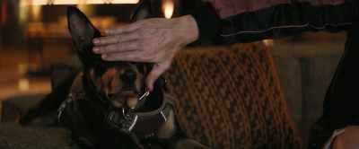 I think I've seen Tom's ass
more than my own. - - The Fall Guy