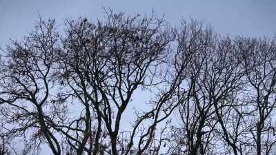 I think that justice
will be done once, we think, all of us, - Sophie: A Murder in West Cork