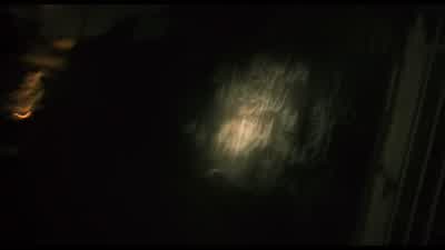I think we killed that guyGood - End of Watch