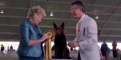 I think he knew he was special
all the way through. - Koko: A Red Dog Story