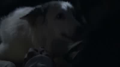 I think her leg is broken. - Teen Wolf