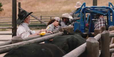 - I think you make him nervous. - Yellowstone