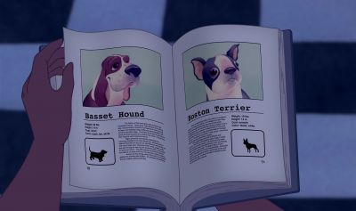 I think it might be a koala. - Lilo &amp; Stitch