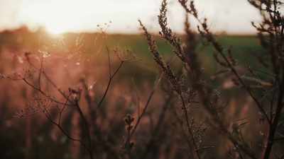 - I think mindfulness
is bigger than insight. - Is Mindfulness Right for You?