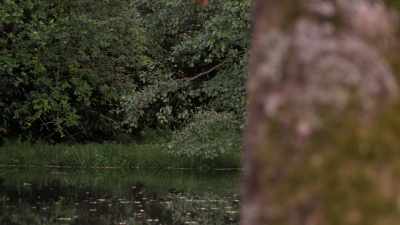 I think one of the problems with
meditation in a group - Extraordinary Escapes with Sandi Toksvig