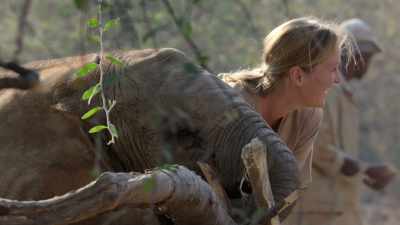 I think people around the world
think all too often - In the Footsteps of Elephant