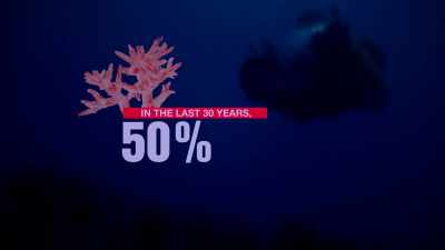 I THINK REEFS AS WE KNOW THEM
ARE GONNA VIRTUALLY DISAPPEAR. - Before the Flood