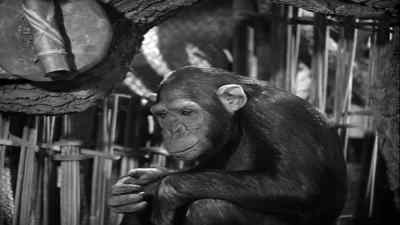I think Tarzan would like some plums
for breakfast. - Tarzan's New York Adventure