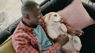 I think
that with the right relationship, - Inside the Mind of a Dog