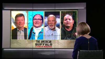I think that's why
we ended up with an - The American Buffalo