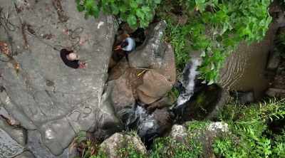 I think the best thing to do is
to go down the waterfall, - Lost Gold of World War II