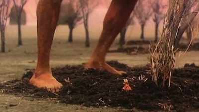 I think the future for
folk horror is about seeing - Woodlands Dark and Days Bewitched: A History of Folk Horror