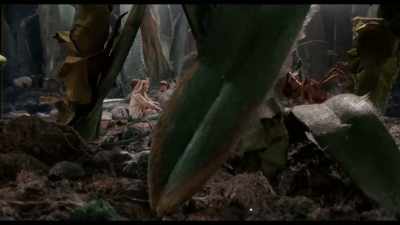 I think the rest of it was destroyed. - Prop Culture