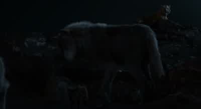 I think they like me. - The Jungle Book