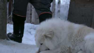 I think they're
gonna be ready, - Life Below Zero: Next Generation