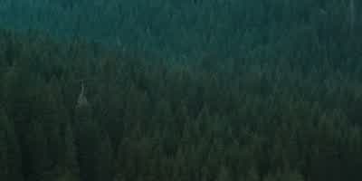 I think we need this. - The Ritual