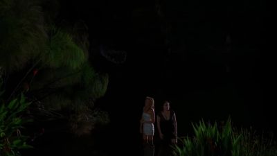 I think we're alone now - Mega Python vs  Gatoroid
