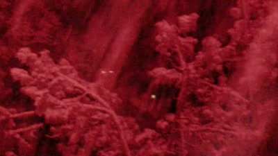 I think we've got to go right
between the two trees there. - Beyond Skinwalker Ranch