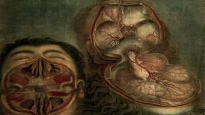 I think that when tom first took
the brain into his possession, - The Man Who Stole Einstein's Brain